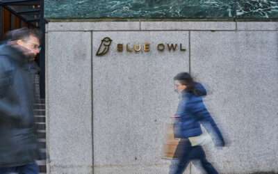 Blue Owl Private Credit Fund Raises Questions About Risks in the Industry